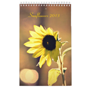 Ein Jahr des Kalenders der Sonnenblume-2013 Kalender