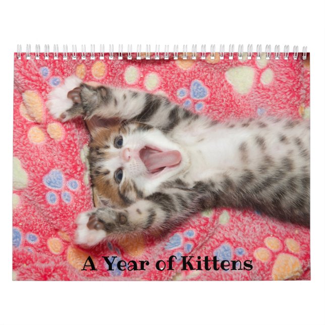 Ein Jahr des Kätzchenkalenders Kalender (Titelbild)
