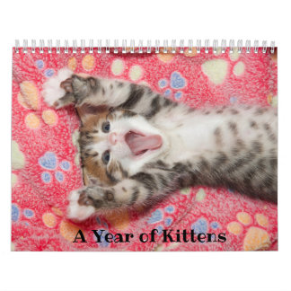 Ein Jahr des Kätzchenkalenders Kalender