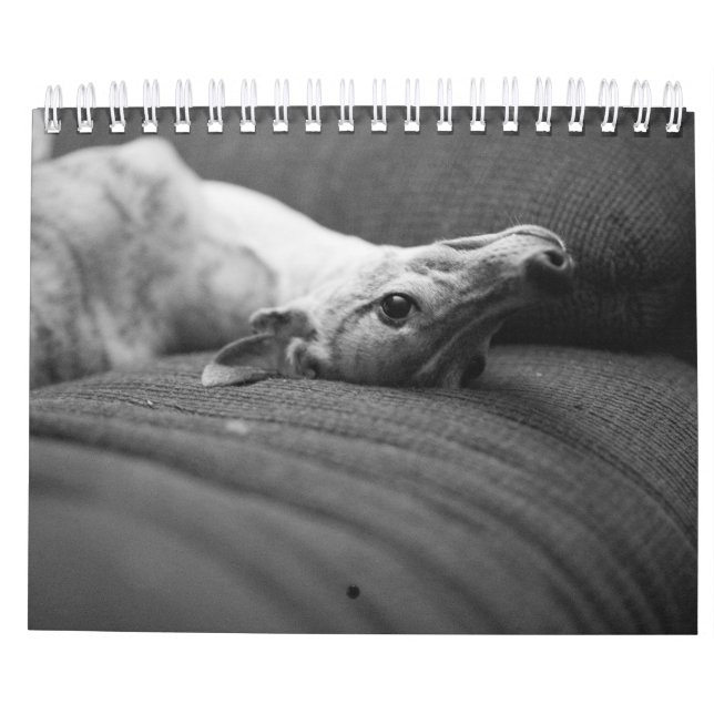 Ein Jahr im Leben von Enzo Kalender (Rückseite)