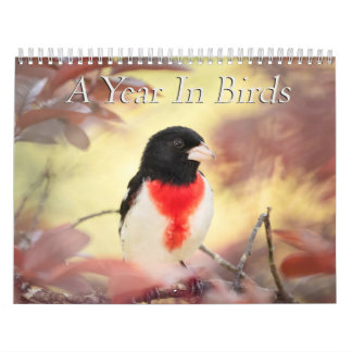 Ein Jahr im Vogelkalender Kalender