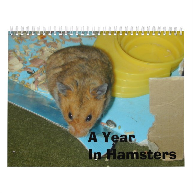 Ein Jahr in Hamstern 2010 Kalender (Titelbild)