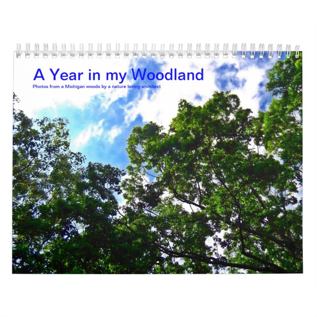 Ein Jahr in meinem Kalender des Waldland2014 (Titelbild)