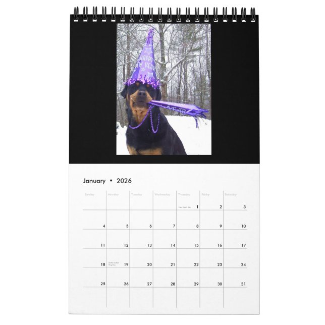 "Ein Jahr mit Kalender 2016 Annie" Rottweiler (Jan 2026)