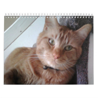 Ein Jahr mit Pokey Kalender