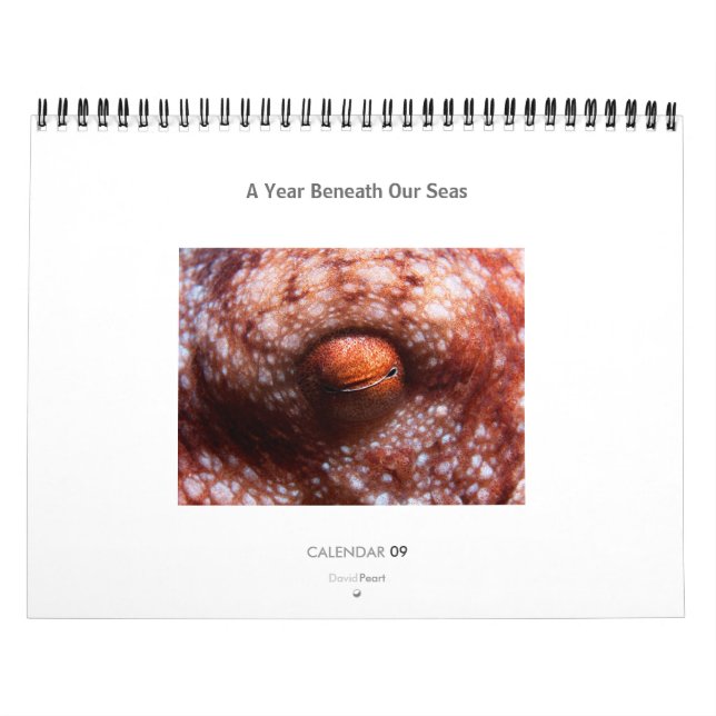 Ein Jahr unter unseren Meeren - Kalender 2009 (Titelbild)