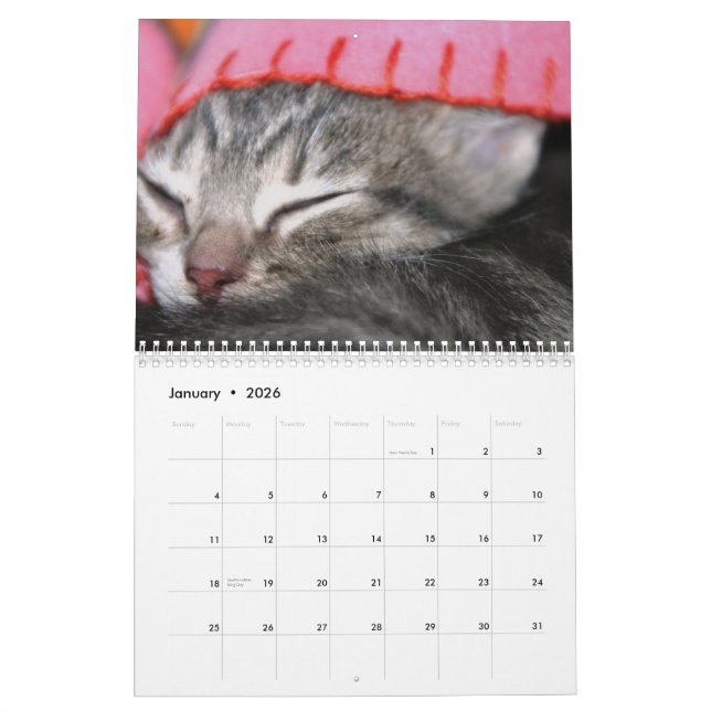 Ein Jahr von fuzzybutts Kalender (Jan 2026)