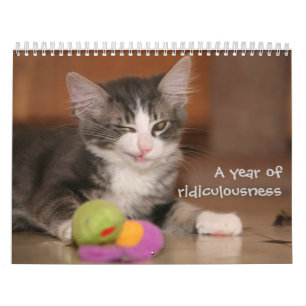 Ein Jahr von Ridiculousness Kalender