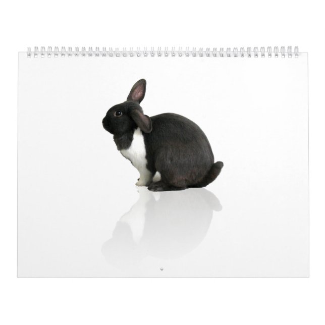 Ein Jahr von Rupert Kalender (Titelbild)