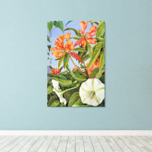 Ein Javanischer Rhododendrum und Ipomoea Leinwanddruck