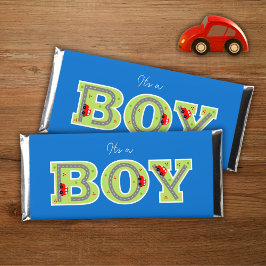 ein Junge, Autos, Babydusche