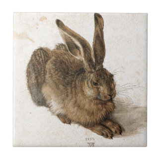 Ein junger Hase durch Albrecht Durer Fliese