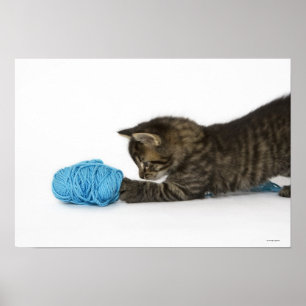 Ein junges Tabby-Kätzchen, das mit Wolle spielt Poster