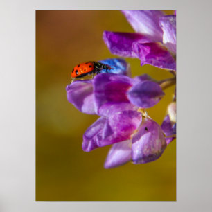 Ein Käfer-Leben. Poster