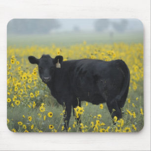 Ein Kalb inmitten der Sonnenblumen des Nebraska Mousepad