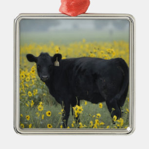 Ein Kalb zwischen den Sonnenblumen von Nebraska Silbernes Ornament