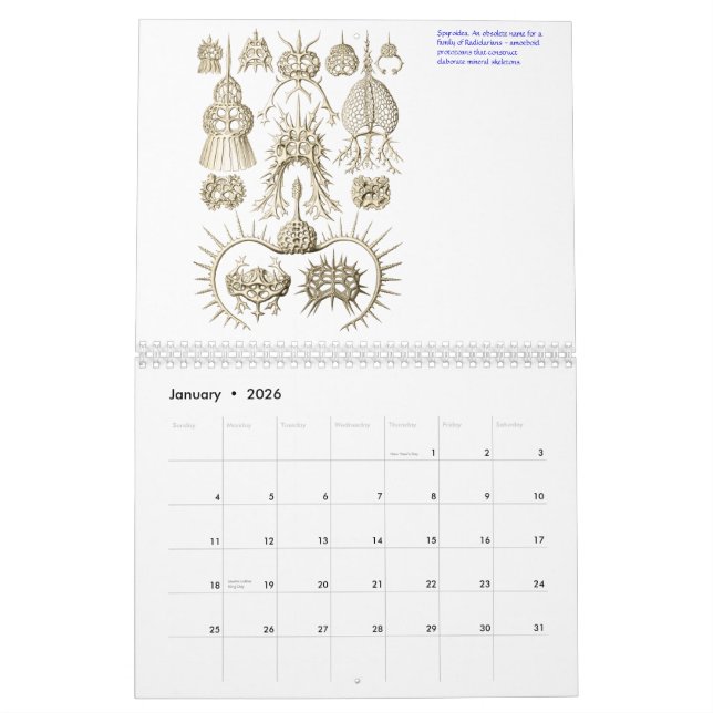 Ein Kalender der mikroskopischen Pflanzen und der (Jan 2026)