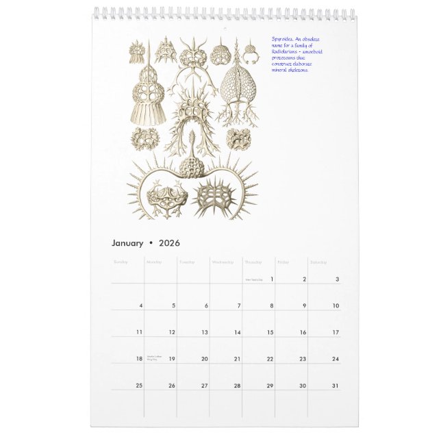 Ein Kalender von den Zeichnungen von Ernst (Jan 2026)