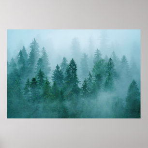 Ein kalter Morgen im Ceahlau-Nationalpark, Roman Poster