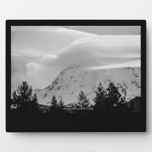 Ein kalter Tag im März Fotoplatte