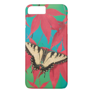 Ein kanadischer Tigerschwalbenschwanz-Schmetterlin Case-Mate iPhone Hülle