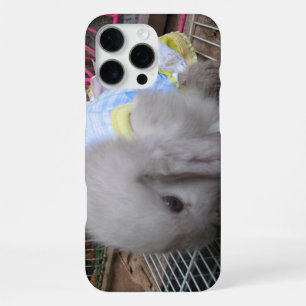 Ein Kaninchen im Kleid iPhone Hülle