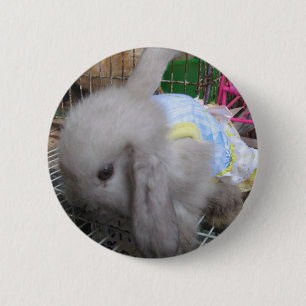 Ein Kaninchen in einem Kleid Button