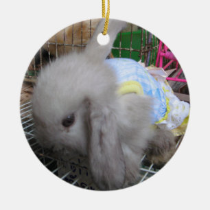 Ein Kaninchen in einem Kleid Keramik Ornament
