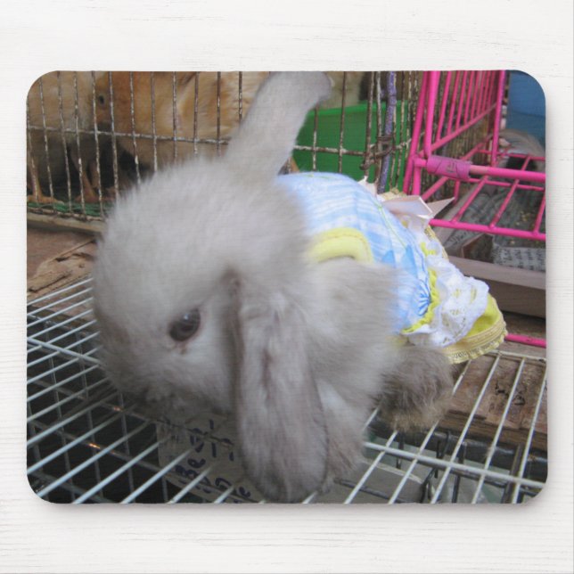 Ein Kaninchen in einem Kleid Mousepad (Vorne)