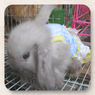 Ein Kaninchen in einem Kleid Untersetzer