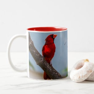 Ein Kardinal-Kaffeebecher Zweifarbige Tasse