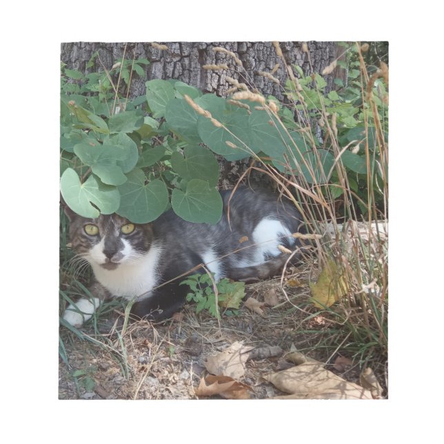 Ein Katzenversteck Notizblock (Vorderseite)