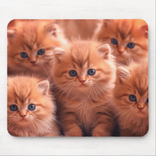 Ein Kindle süßer Kätzchen auf Laptop-Desktop-Table Mousepad