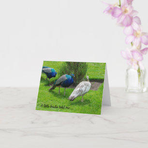 "Ein kleiner Birdie hat mir gesagt ..." Friedenstr Karte