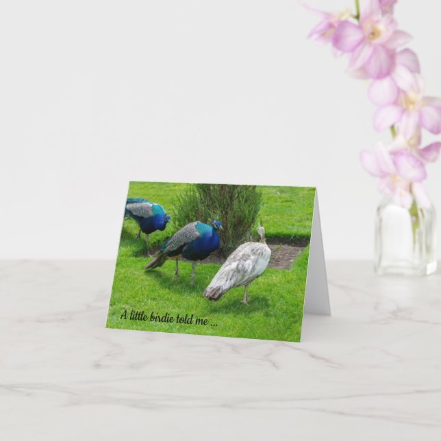 "Ein kleiner Birdie hat mir gesagt ..." Friedenstr Karte (Orchidee)