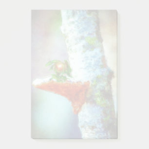 Ein kleiner Drache schläft Post-it Klebezettel