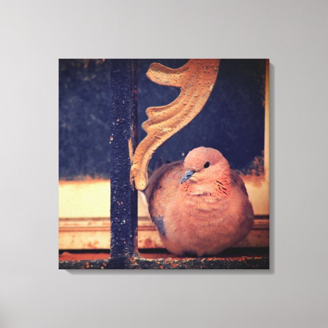 Ein kleiner Fluff Leinwanddruck (Vorderseite)