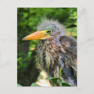 Ein kleiner grüner Held Feiertagspostkarte