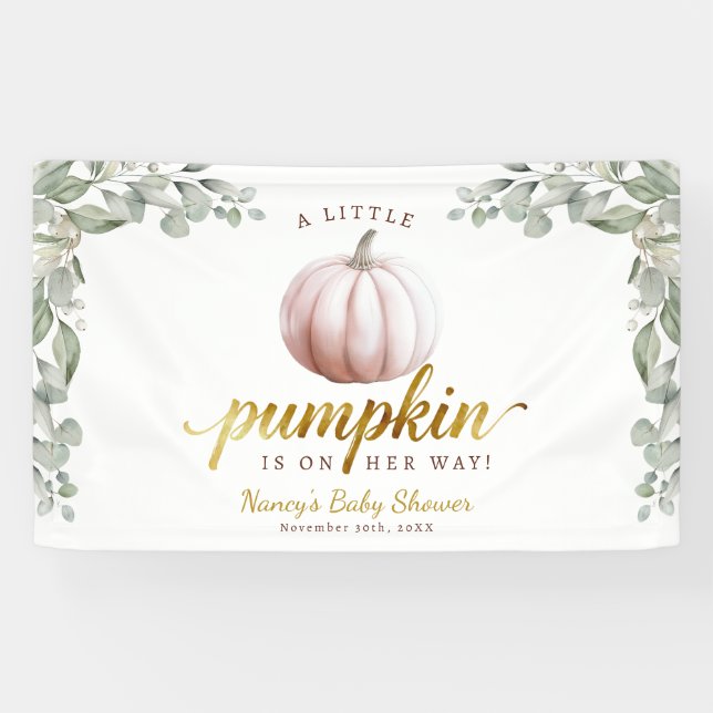 Ein Kleiner Kürbis Herbst Baby Shower Hintergrund  Banner (Horizontal)
