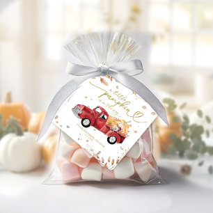 Ein kleiner Kürbis ist auf dem Weg zur Babydusche Geschenkanhänger