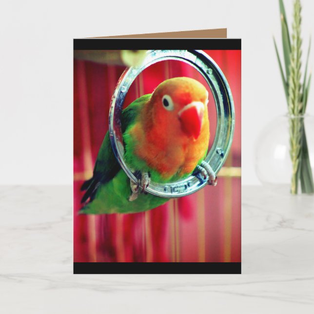 Ein kleiner Lovebird Karte (Vorderseite)
