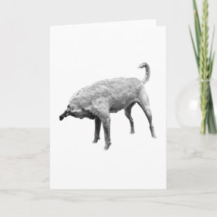 Ein kleiner Nasen-Check-Jubel Karte