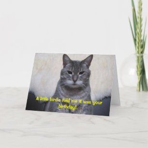 Ein kleiner Piepmatz sagte mir, dass er Ihr Karte