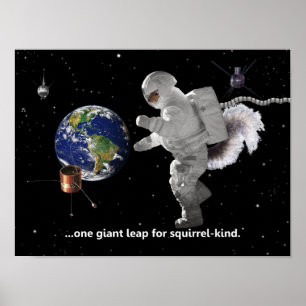 Ein kleiner Schritt für das Eichhörnchen-Poster Poster