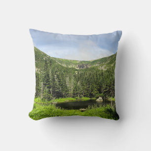 Ein kleiner Teich im Tal der Berge im Kissen