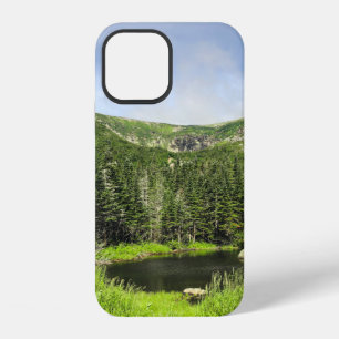 Ein kleiner Teich im Tal der Berge in der iPhone 12 Hülle