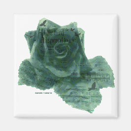 Ein kleiner Vogel erzählte mir Rose Magnet