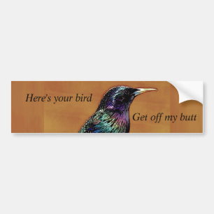 Ein kleiner Vogel erzählte mir Starling Bird-Foto Autoaufkleber