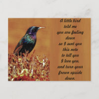 Ein kleiner Vogel erzählte mir Starling Bird-Foto