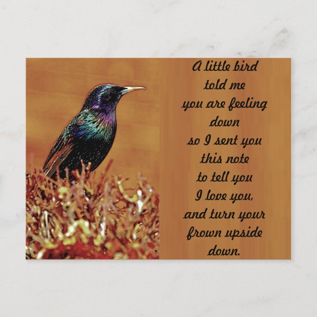 Ein kleiner Vogel erzählte mir Starling Bird-Foto Postkarte (Vorderseite)